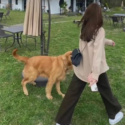 长生界
